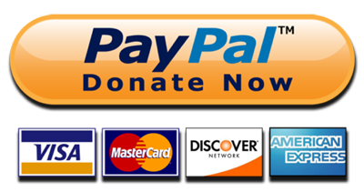 PayPal logo large